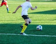 双色球,独家揭秘,龙头凤尾齐,大发彩票,购彩大厅,大发快三网站,大发彩票邀请码,大发彩票邀请码注