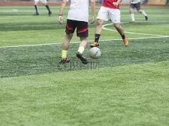 双色球大揭,期精准预测,福彩红蓝球,大发彩票,购彩大厅,大发快三网站,大发彩票邀请码,大发彩票邀请码注