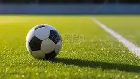 “十五运会帆船赛事落幕：沪浙两队力压群雄”