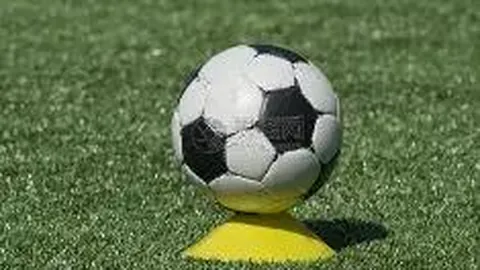 第32届中国国际广告节上，三金西瓜霜璀璨亮相，探讨新时代营销革新之道