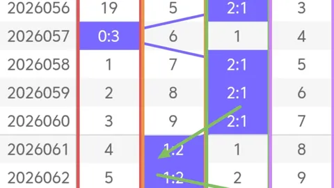 第2026028期 大乐透2026028期小井专家质合推荐分