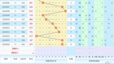 排列五第2026048期玄易推荐：专家质合分析及杀码