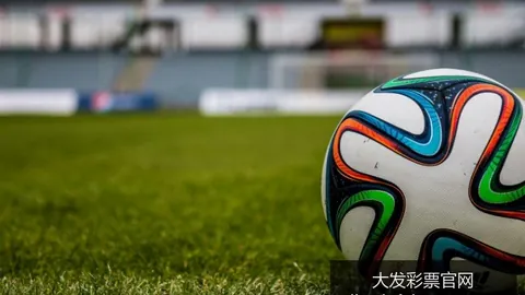 大发彩票官网